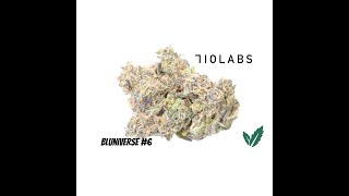 Fresh Pre-Roll Pick Upv: 710 Labs - Blueniverse #6