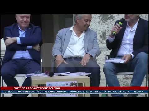 L'arte della degustazione del vino TG NEWS MOLISE DEL 5-07-26 - TRSP -