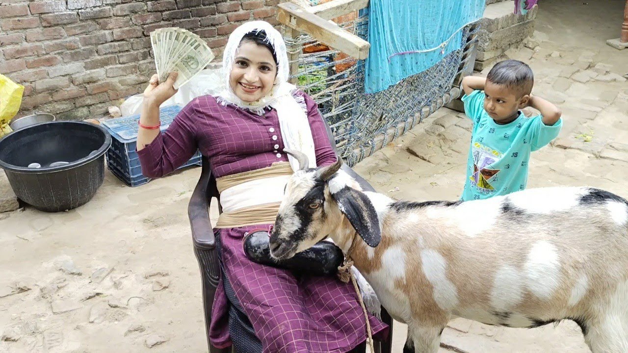 मुस्लिम महिला सिंगर ने बकरा ईद पर खरीदा सबसे महंगा बकरा Bakra Eid | siraj ashu bachchan|