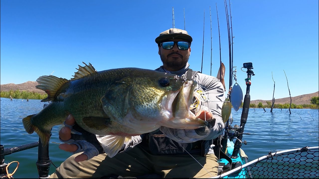 This fish destroyed my Spinner bait! 😮
