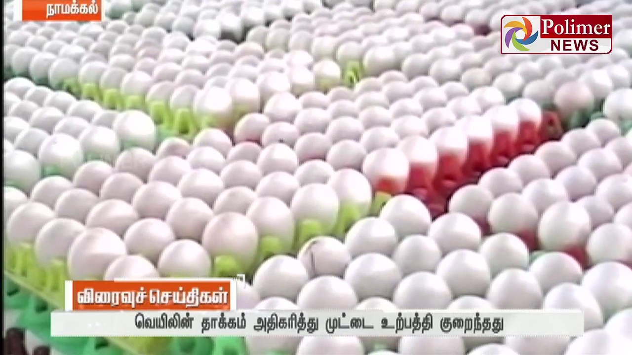Namakkal Egg rate hiked for 36 paise within one week due to Heat