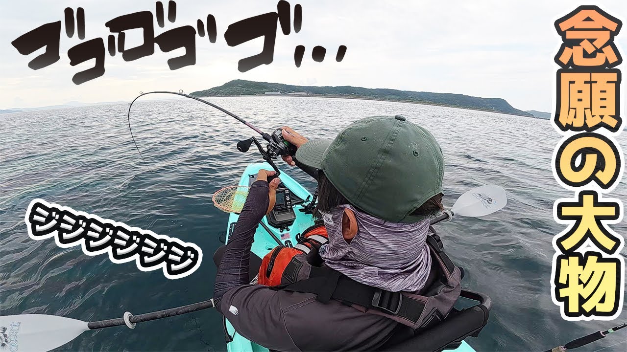 ヤバこれ釣れるじゃん!!久しぶりの大型魚きたきたきたー!