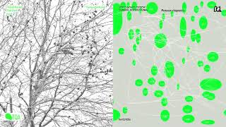 The quiet archive-a grammar of traces