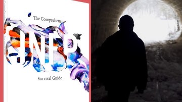 The comprehensive INFP Survival Guide, Heidi Priebe