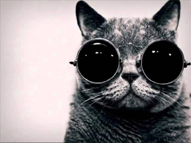 Watch Maetrik - Walk Alone (Maceo Plex Revenge Mix) on YouTube Watch Maetrik - Walk Alone (Maceo Plex Revenge Mix) on YouTube
