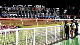 Twinkle Races at Tokyo City Keiba