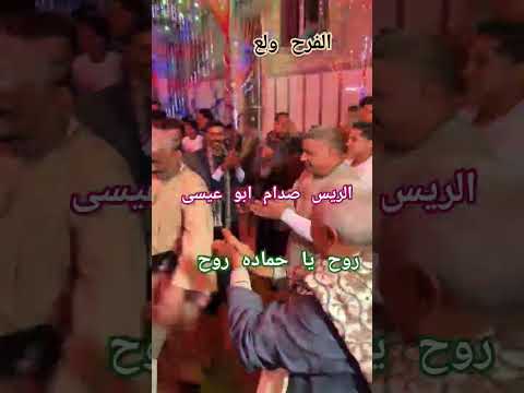 الفرح ولع برقص والجمهور كله مبسوط روح يا حماده روح مع الريس صدام ابو عيسى