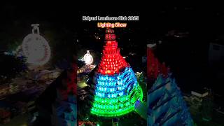 Kalyani Iti Mor Durga Puja Lighting Show Luminous Club 2025
