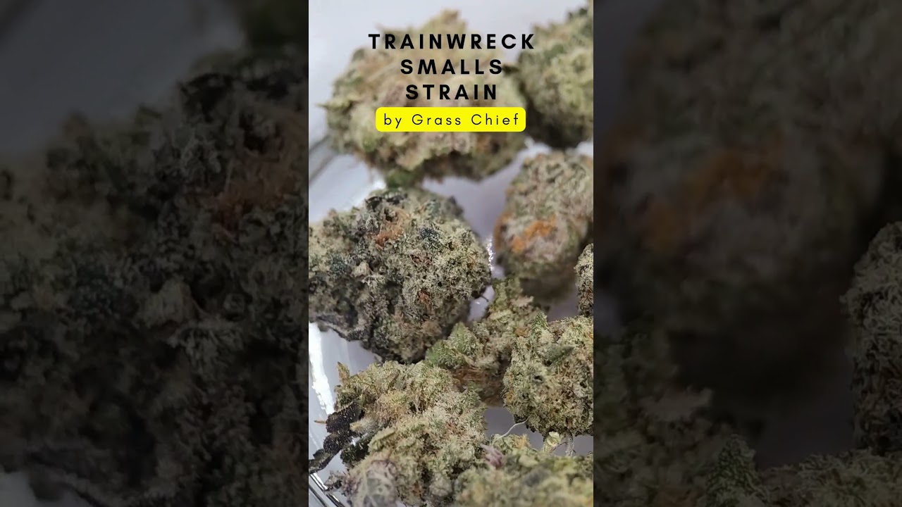 🚂 Trainwreck Smalls Strain Review | Uplifting & Energizing Classic