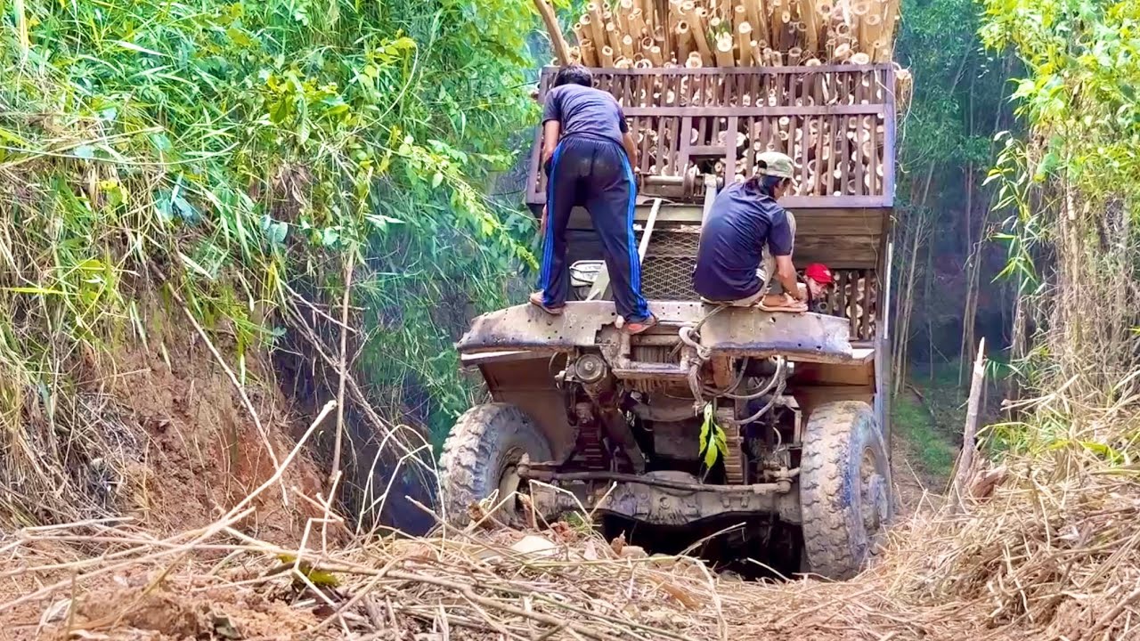 Xe Độ Chở Gỗ Keo, Chiếc xe tải cải tiến chở gỗ keo đi lên dốc rất nguy hiểm. #xeđộ 