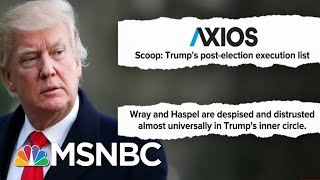 As Trump Crashes, Niece Warns Of Danger In Post-Election 'Hit List' | The Beat With Ari Melber