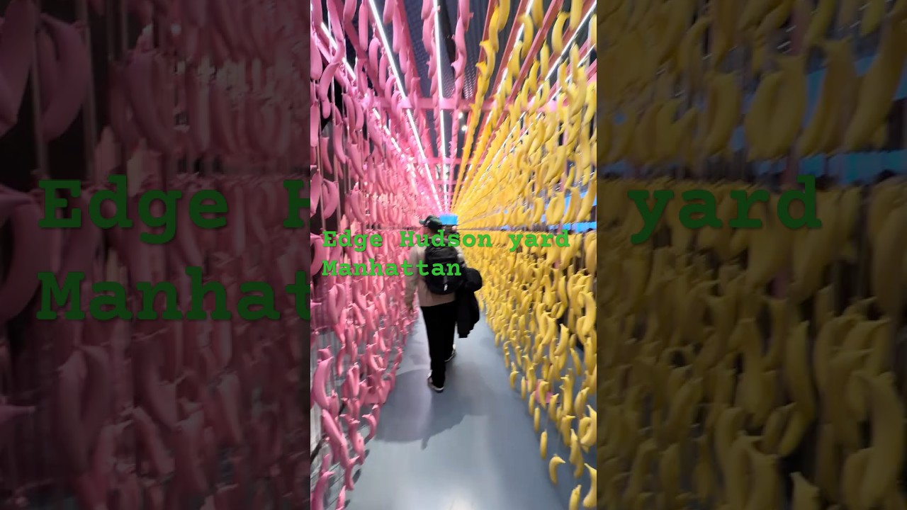 Edge hudson yard manhattan
