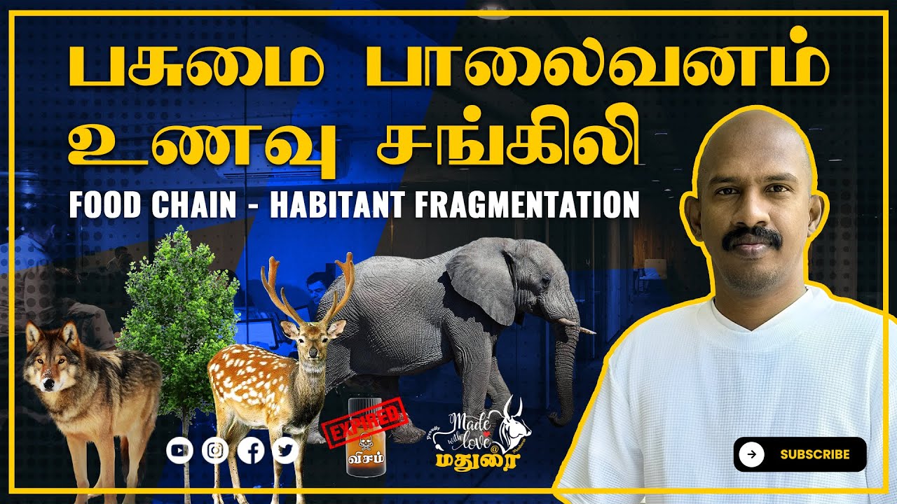 பசுமை பாலைவனம் - உணவு சங்கிலி - Food chain - Habitant Fragmentation in Tamil Expired Visam