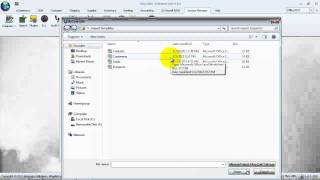 Customers - Import Existing Customer Files