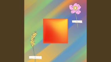 Scintillating Backdrops for Soul Reflections