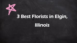 3 Best Florists in Elgin, Illinois | Flower Shops