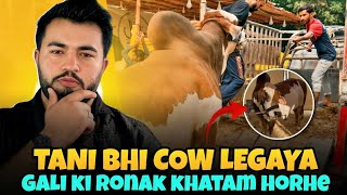 One More Gone… 💔🐂tanni Bhi Wapis Le Gaye…Gali Ab Pehle Jaisi Nahi Rahi 🥹