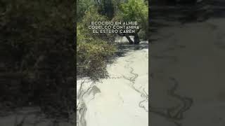 Denuncian contaminación por relaves de Codelco en el estero Carén, provincia de Mepillia
