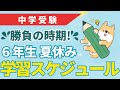 【中学受験】夏休みの学習スケジュール(6年生)