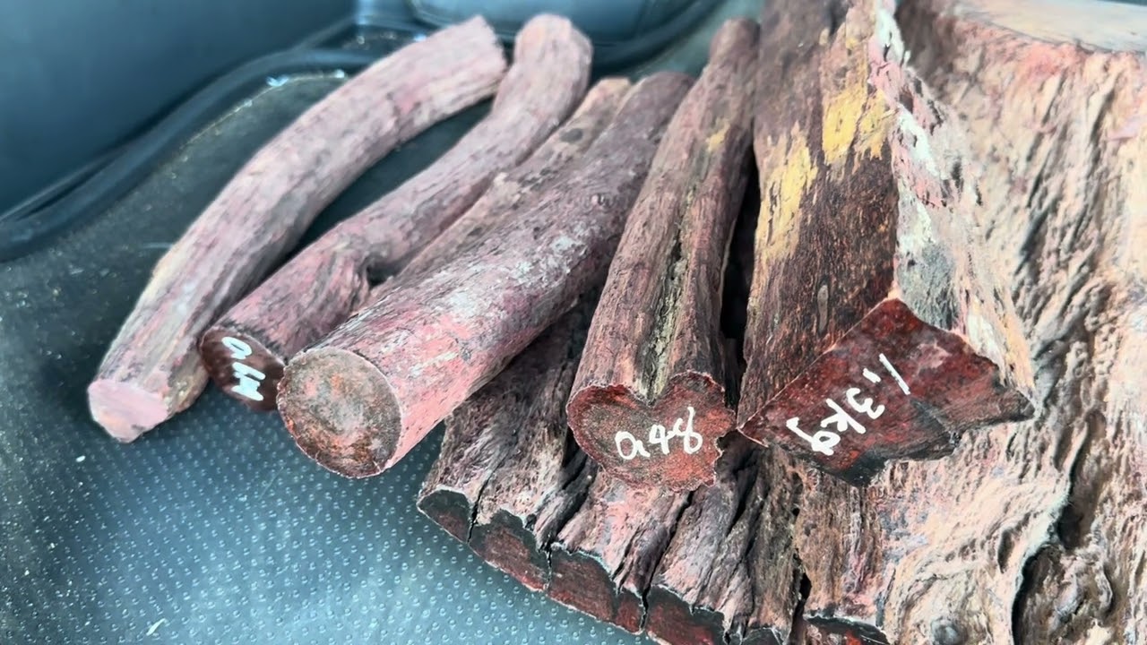 材料紹介 黄花梨 - YouTube