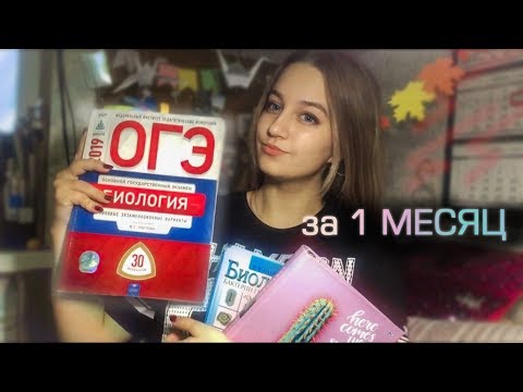 Как подготовиться на