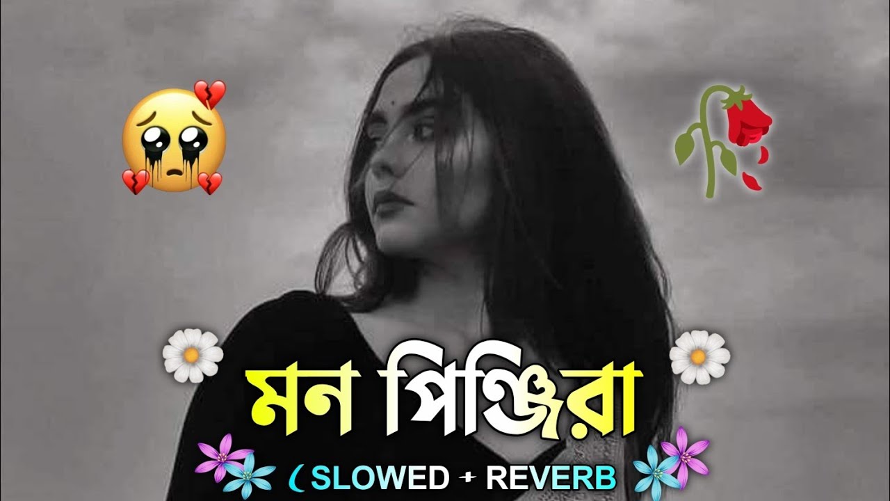 Mon Pinjira মন পিঞ্জিরা🥀🥹 Bengali_lofi_#_lofi_music_#lofi_and_reverb