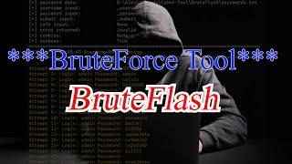 How to use BruteFlash (Online BruteForce tool)