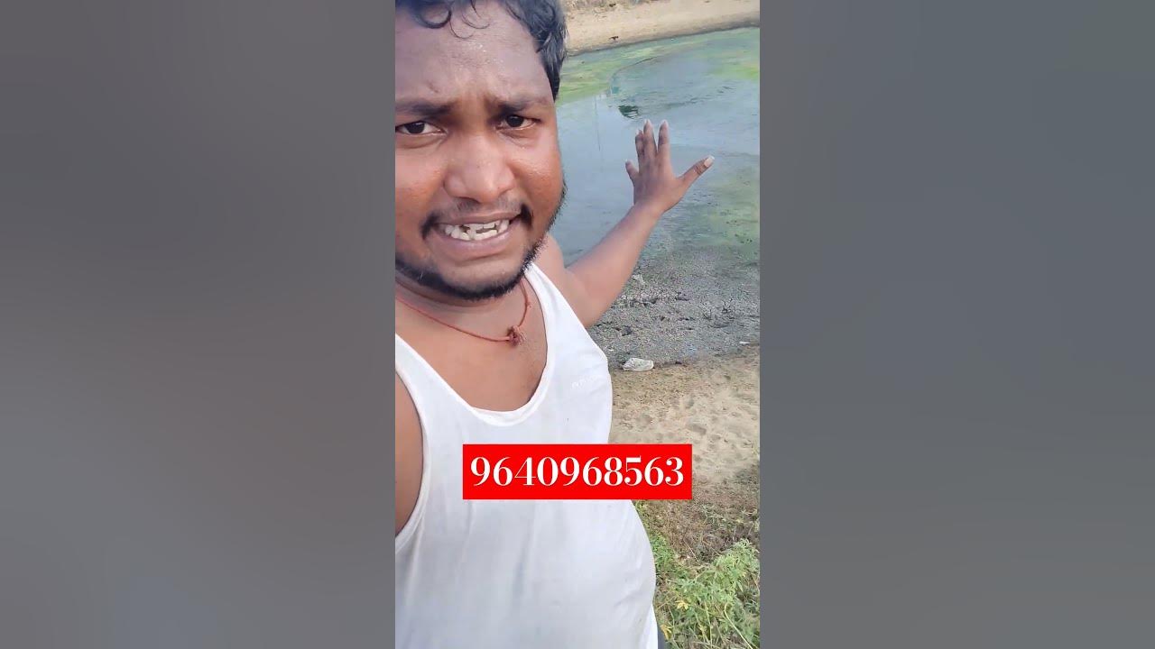 next-harvest-fish-pond-preparation-gk-babu-btech-fish-farmer-youtube