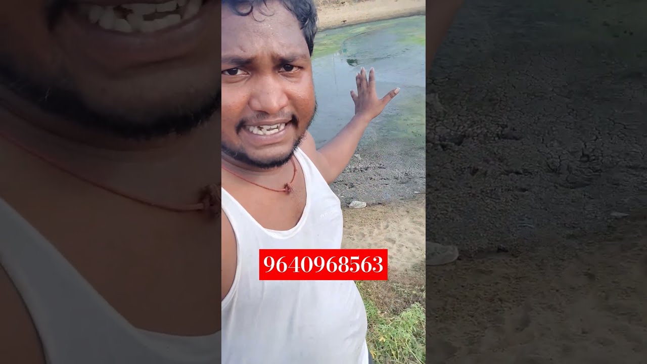Next Harvest Fish Pond Preparation Gk Babu Btech Fish Farmer YouTube Next Harvest Fish Pond Preparation Gk Babu Btech Fish Farmer YouTube