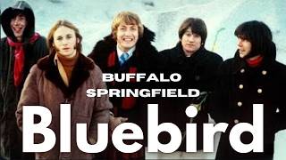 Buffalo Springfield | Bluebird ♫ | 1967 {Promo Video} - YouTube