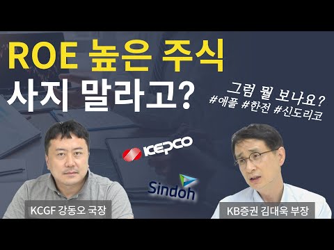 주식 ROE 보는 것 의미 없다 한전 신도리코 애플 KB증권 김대욱 부장 한국기업거버넌스포럼 강동오 국장 