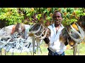 GIANT SQUID FISH RECIPE | KANAVA MEEN THOKKU | Prepare by Karuppasami thatha | traditional food