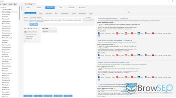 BrowSEO Lite - Prospector
