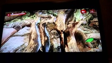 Tree bark in dead island riptide