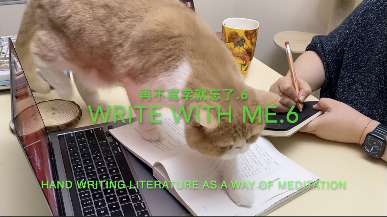 Hand-Write with me.6 ⎜再不寫字就忘了.6⎜30min writing meditation⎜30分鐘找回字裡的安心 ...