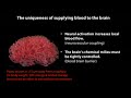 Mass General Neurology Grand Rounds: Neuro-Vascular Interactions in the Brain