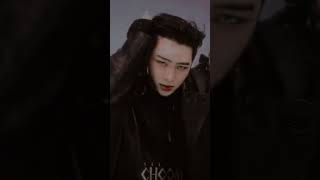 A masterpiece mix of a sharp anime jawline, ice prince elegance, the most charming nose mole #enha