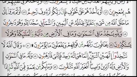 (16) سورة النحل | شيخ الزين محمد احمد