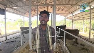 ಸೋಲಾರ್ ಡೈರಿ ಫಾರಂ ಭಾಗ 2 |Hf cow dairy farm kannada