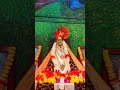 shree Swaminche aajache darshan shree Swami Samarth 🙏