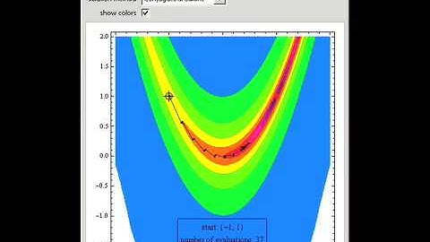 Minimizing the Rosenbrock Function