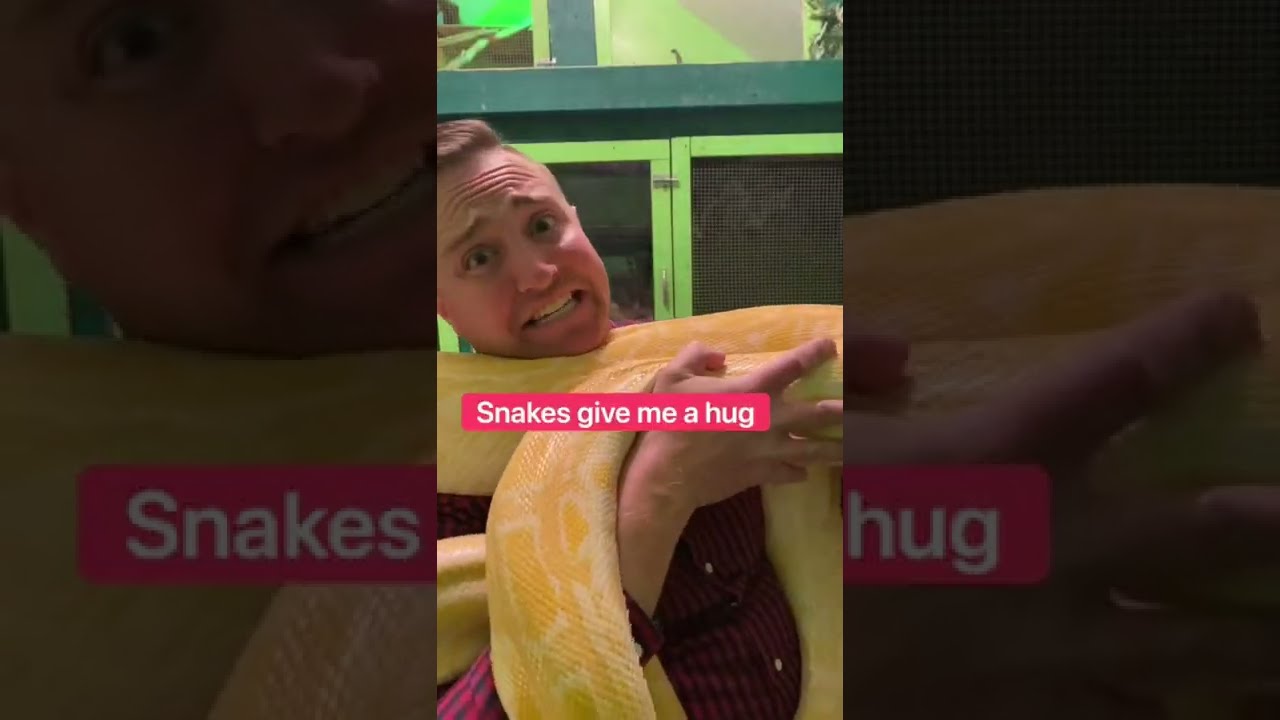 What Do The Animals Do On Valentine’s Day? 🤔❤️ 