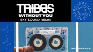 Tribbs - Without You (Sky Sound Extended Remix) (Visualizer)