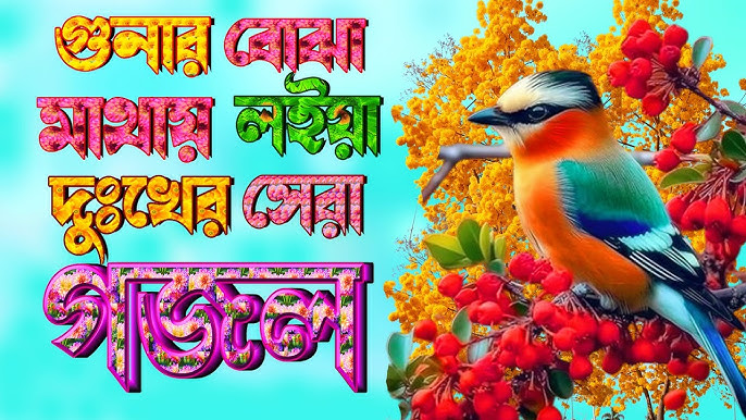 Semiz xonimlar uni eshakda berishadi