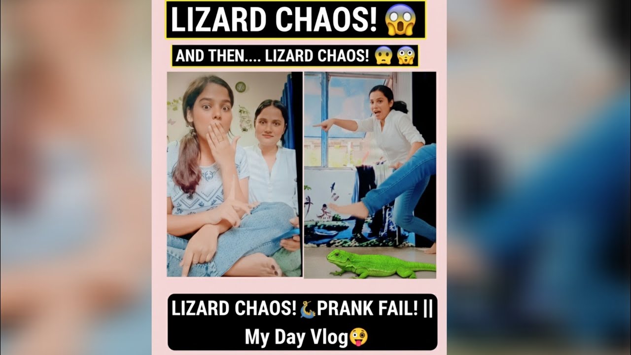 Lizard Chaos !🦎🤣 prank went wrong .