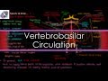 The Vertebrobasilar Circulation | Neurology