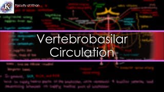 The Vertebrobasilar Circulation | Neurology