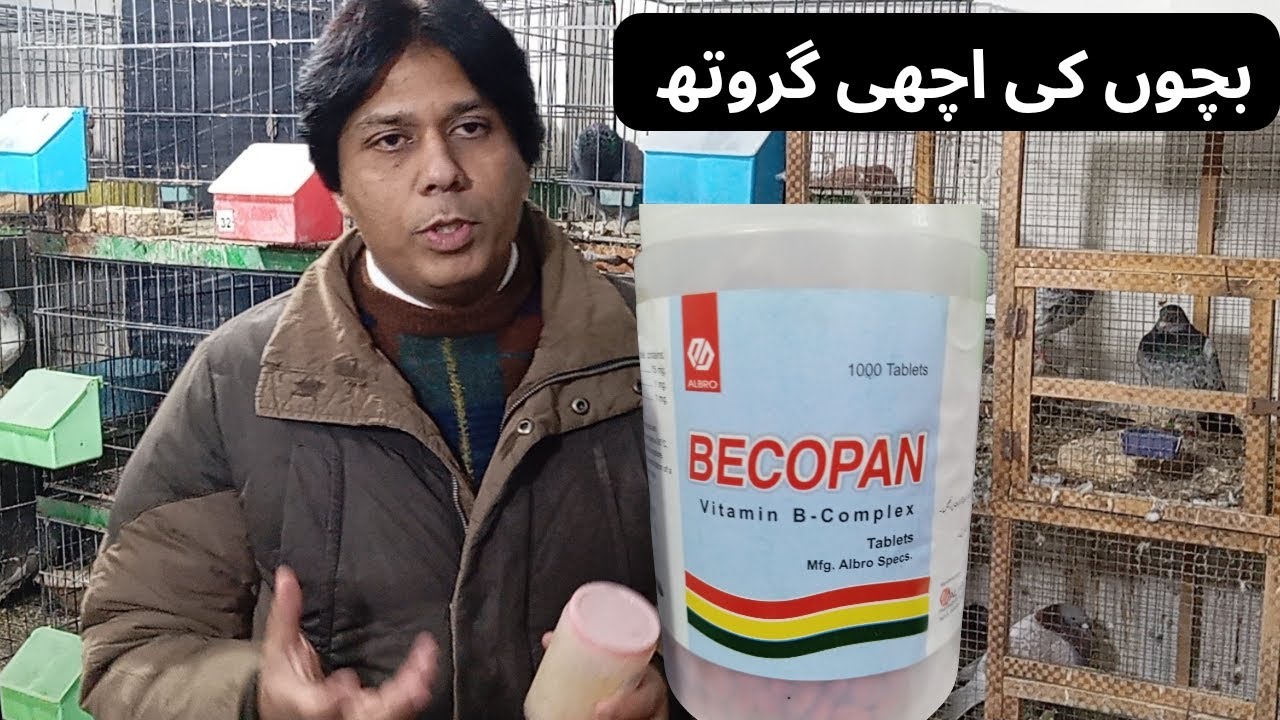 B Complex Best Tablet for Growth | روانہ ایک گولی اور کمال دیکھیں | 