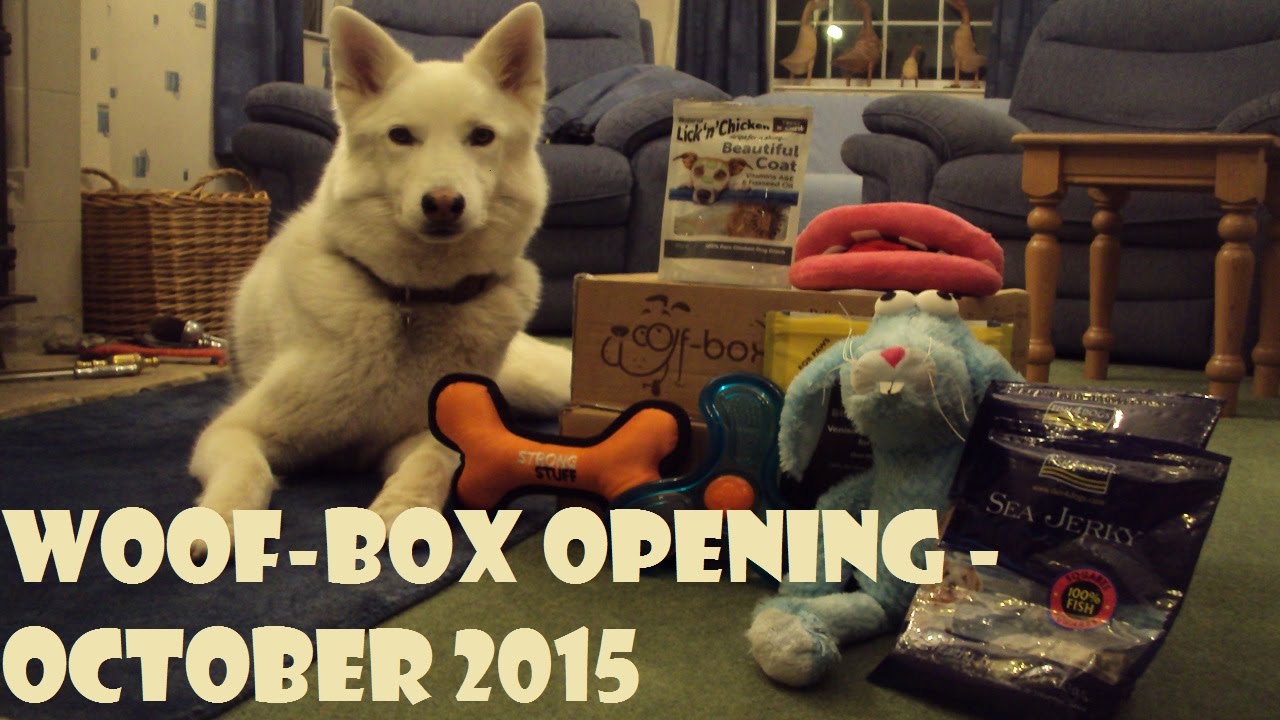 Woof-box review - October 2015
