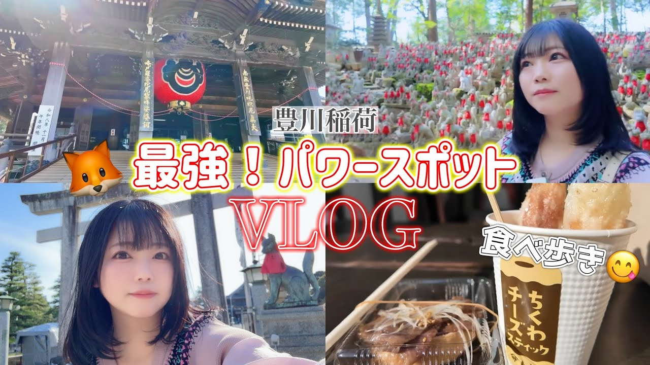 【Vlog】必ず願いが叶う⁉️豊川稲荷⌇食べ歩き⌇パワスポ巡り1人旅🚄